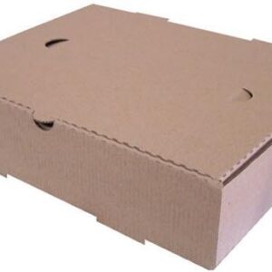 CAJAS DE EMPANADAS DE 24 MARRON/ MARRON