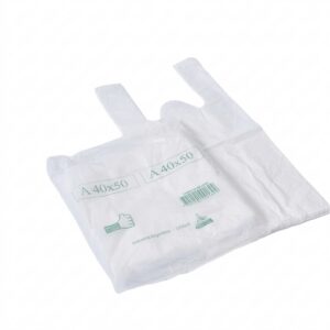 BOLSA CAMISETA ASIA 40 x 50 ANTARTIDA
